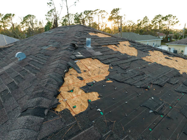 Best Roof Maintenance and Cleaning  in Highland Park, IL